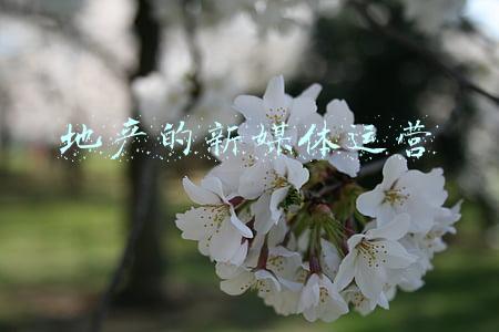 房地产新媒体宣传(十年经营 蝶变绽放---山东人和房地产开发公司举办媒体交流会)