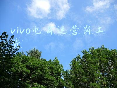 vivo业务员工资怎么样(vivo年薪180万元招芯片总监 国产手机纷纷布局ISP)