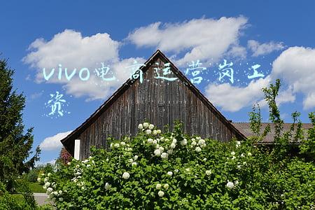 vivo底薪多少(Vivo员工感叹: 19届985硕士，月薪12k年终奖才2万，太惨了)