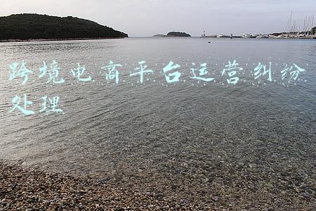 跨境电商平台运营纠纷处理
