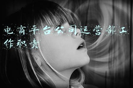 电商平台公司运营部工作职责