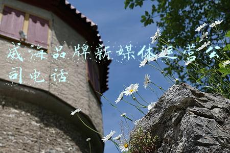 威海鱼竿品牌排行榜(威海的鱼竿和河北沧州相比，哪个更值得买？)
