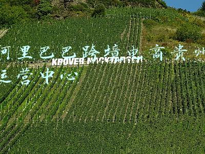 阿里巴巴跨境电商贵州运营中心