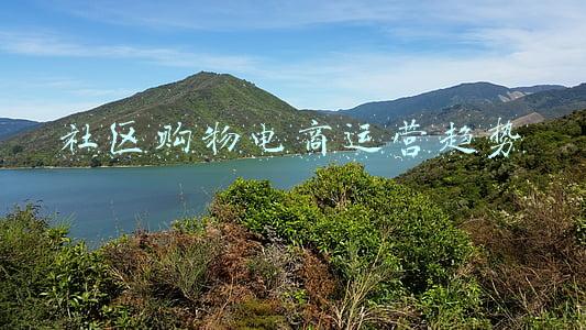 社区购物电商运营趋势
