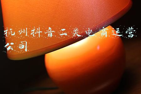 杭州二类电商公司排名(疫情当前，对二类电商而言是祸还是福？)