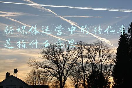 新媒体运营中的转化率是指什么意思