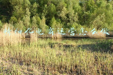 精细化电商运营怎么做