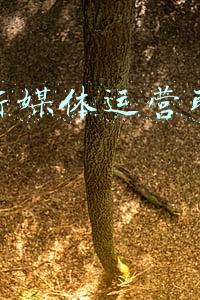 面试新媒体运营职业规划