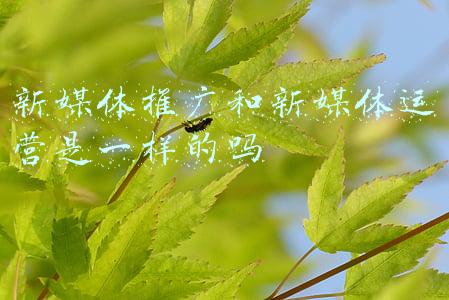新媒体推广和新媒体运营是一样的吗