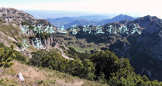 新媒体运营的盈利模式类型
