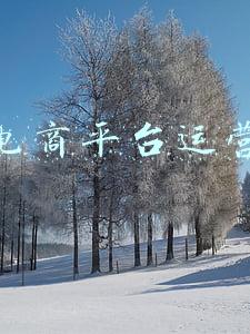 女性电商平台运营特点