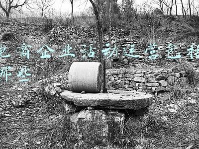 电子商务活动主要包括哪些内容(电子商务的技能)