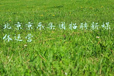 北京京东(别人家的公司 · 京东欢迎你)