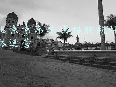北京京东集团招聘新媒体运营
