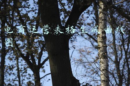 表格如何生成曲线(Excel教程（10）：单元格走势图，在表格中做出迷你的数据图)