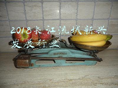 2018长江流域新兴发展行业