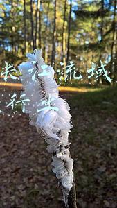 2018长江流域新兴发展行业