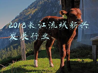 2018长江流域新兴发展行业