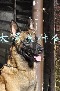 抖音大号靠什么赚钱