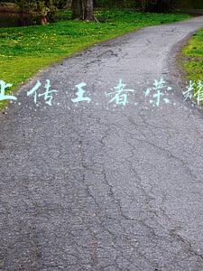 抖音上传王者荣耀视频赚钱