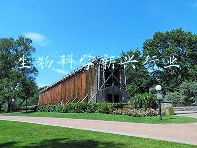 生物技术发展(工业生物技术领域国际发展态势及我国发展前景展望)