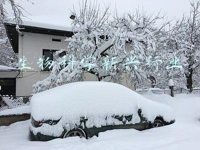 新产业生物行业地位(打开生物医药产业成长空间——“发力新兴产业，逐鹿全新赛道”系列报道之新医疗)
