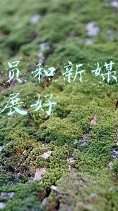 行政专员和新媒体运营哪个发展好