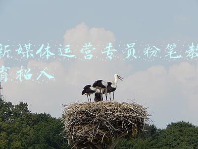 新媒体运营专员粉笔教育招人