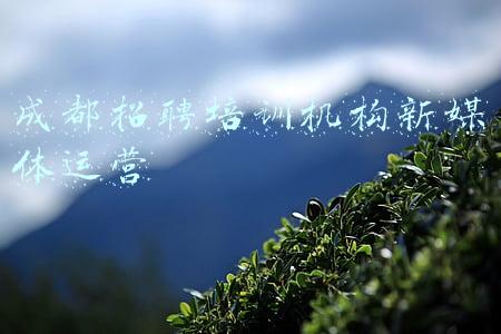 成都招聘培训机构新媒体运营