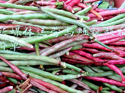 新媒体运营与短视频报价单