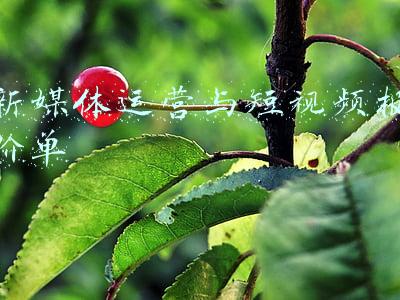 短视频制作报价单(抖音达人接一个广告多少钱？报价单参考)