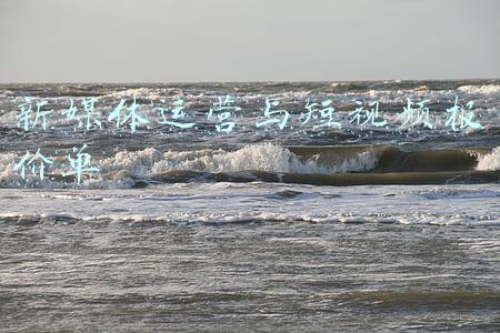 新媒体的报价表(高达2.2亿！这份表格你看过吗？九位数的天价片酬能被限制吗？)