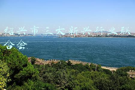 绍兴市三大新兴行业联合会