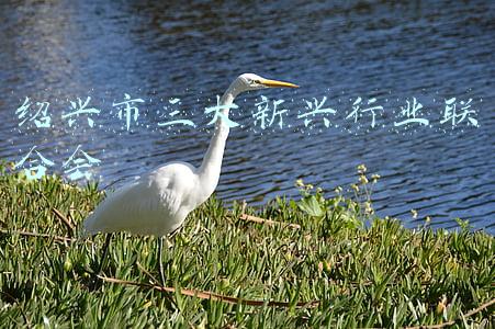 绍兴市三大新兴行业联合会