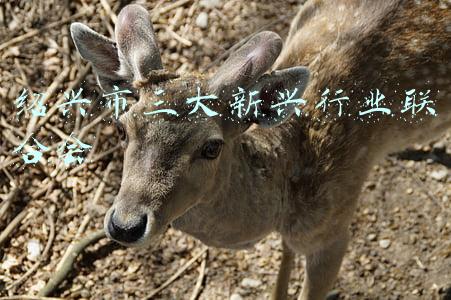 绍兴市三大新兴行业联合会