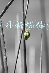 在线学习新媒体运营靠谱吗