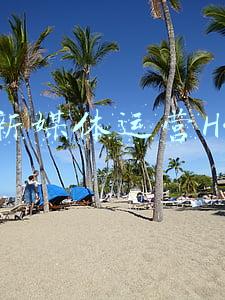 h5制作(写给大家看的H5页面制作入门指南。)