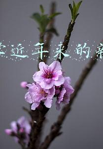 经济学近年来的新兴行业