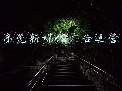东莞新媒体广告运营