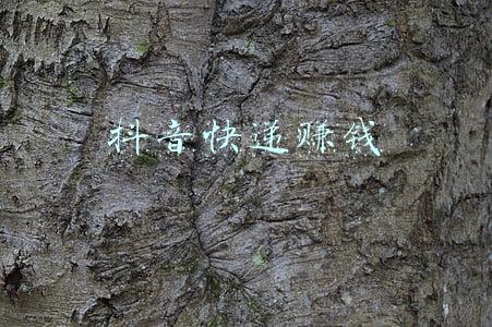 抖音快递面单设置(抖音推出自家“电子面单”，物流格局将迎来“地震”)