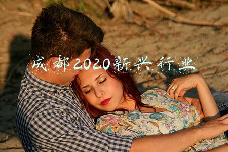 成都2020新兴行业