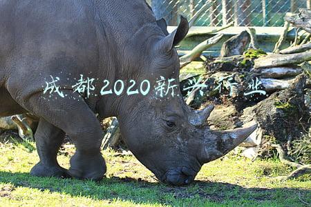 成都2020年数学中考试卷(2020四川宜宾中考数学试卷（含答案）)