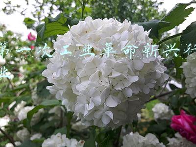 第一次工业革命新兴行业
