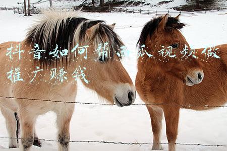 抖音推广西瓜视频怎么赚钱(抖音如何赚钱？西瓜+头条+抖音中视频计划来了)