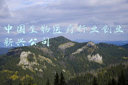 中国生物医疗行业创业新兴公司