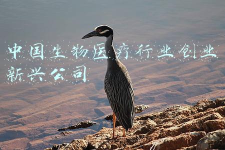 中国微生物保藏中心(高福主任调研指导国家病原微生物保藏工作)