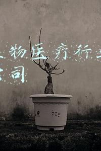 中国生物研究所(中国医学科学院生物研究所组建科研团队全力攻关——“参与疫苗研发，我们很自豪”)