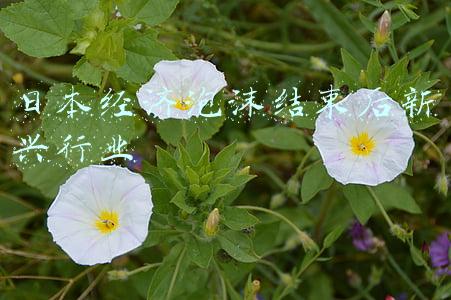 日本泡沫经济破灭后什么产业发展了(从资源匮乏到资源大国，日本将物尽其用展现的淋漓尽致)
