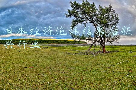 日本经济泡沫后什么行业发展最好(庶子逆袭成世界首富，曾有1/6日本商业土地，被抓时仅有两处房产)