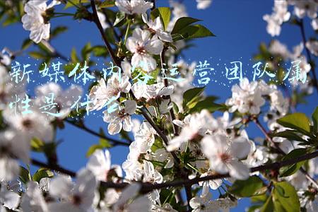 笔记本电脑的属性在哪(鼠标双击打开的是属性)